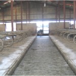 Cattle_Sheds